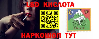 сатива Нальчик