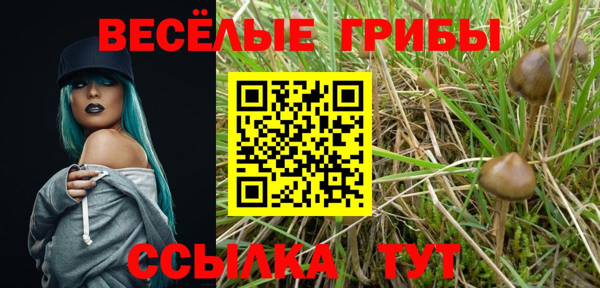 Псилоцибиновые грибы Magic Shrooms  Галлюциногенные грибы мицелий  Вход с VPN  Стрежевой 
